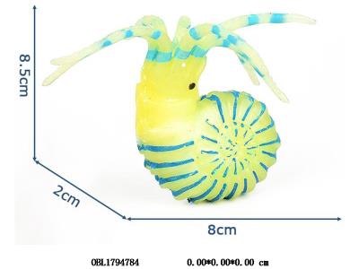 软料动物 鹦鹉螺_OBL1794784