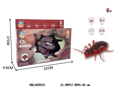 $item.NameEn_OBL1829215