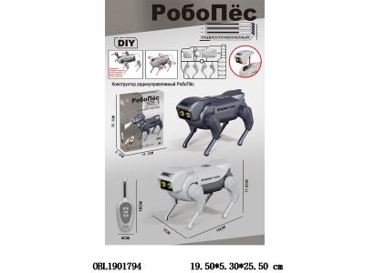 $item.NameEn_OBL1901794