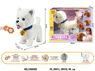 $item.NameEn_OBL1906809