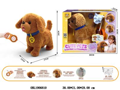 $item.NameEn_OBL1906810