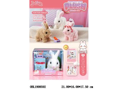 $item.NameEn_OBL1908592