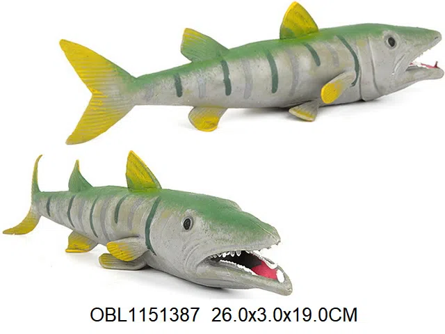 软料动物 金梭鱼_OBL1151387