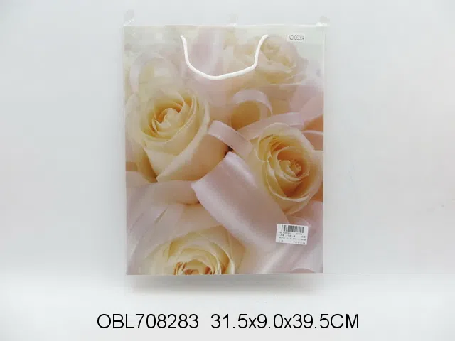 礼品袋 12个装一袋_OBL708283