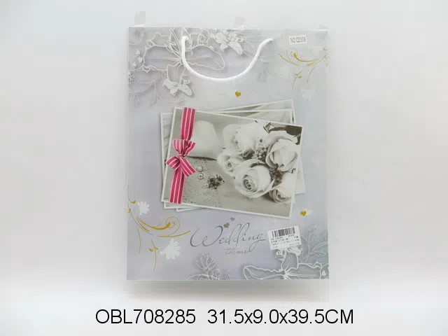 礼品袋 12个装一袋_OBL708285