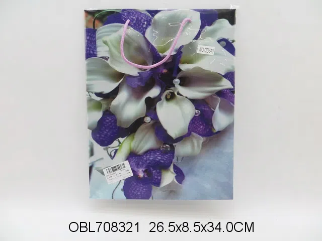 礼品袋 12个装一袋_OBL708321