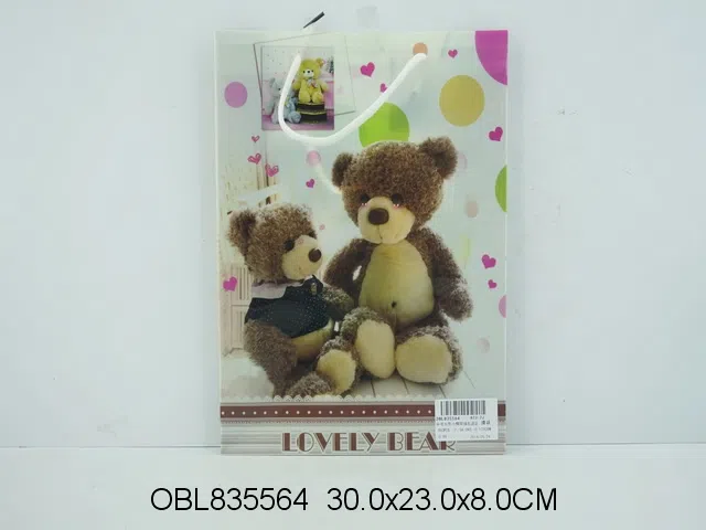 中号方形小熊环保礼品袋 膜袋/12个_OBL835564