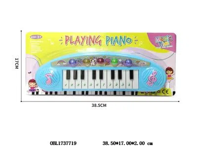 12键电子琴带灯光 2*AA不包电_OBL1737719